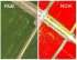 Квадрокоптер DJI Phantom 4 Multispectral + Мобильная станция D-RTK 2 High Precision GNSS в Тюмени